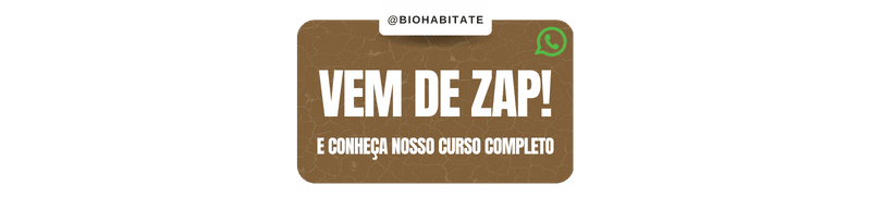 Botão que oferece curso, mas que você irá para o whatsapp.