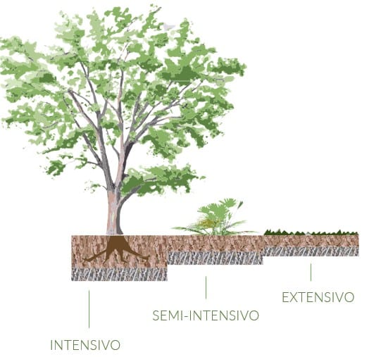 Três tipos de telhados verdes de acordo com a profundidade da camada de substrato