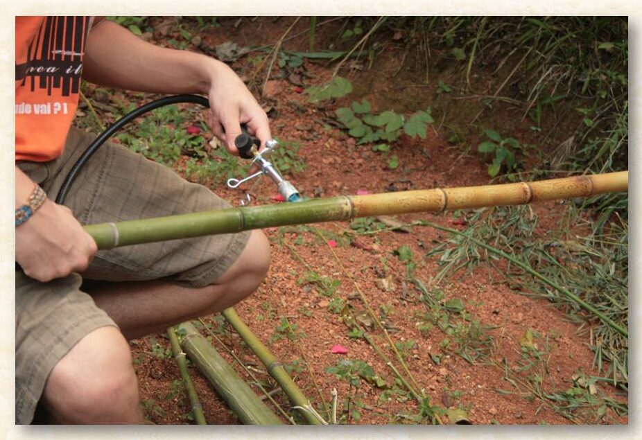 Tratamento de bambu com fogo